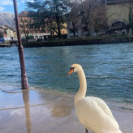 La Petite Venise Des Alpes, Ultra Centre 1 A 5 Pers Appartement *