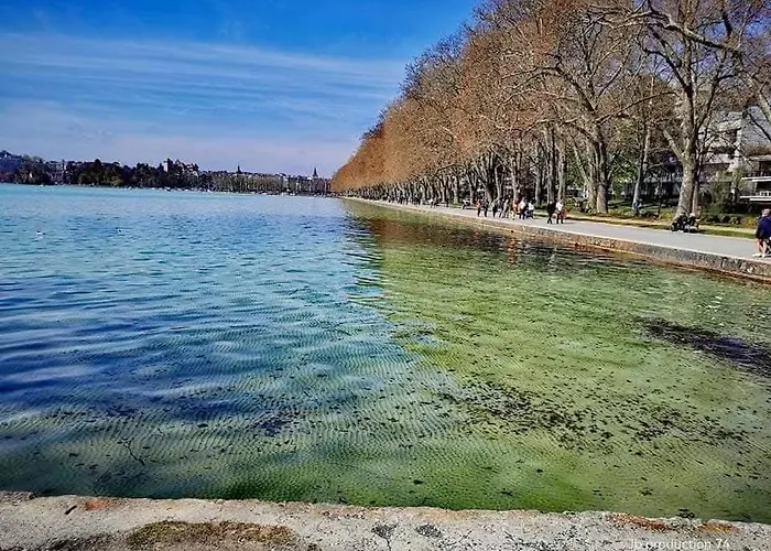 Διαμέρισμα La Petite Venise Des Alpes, Ultra Centre 1 A 5 Pers Άννεσι